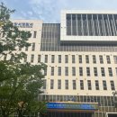국제카 | 신혼여행 준비 | 뉴질랜드 렌터카 대비 국제운전면허증 발급 방법•후기