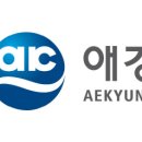 유한회사 브릿지 서울경제