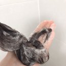 썸띵스페셜 이미지