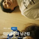 미미공주