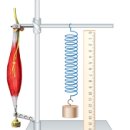 뻣뻣하다고 다 경련성(Spasticity;혹은 강직)이 아니다. 이미지