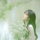 옛추억7080 Daum카페