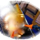 (주)코리아오일 이미지