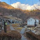 숲속의 집 | [경기 양평] 쉬자파크 숲속의집 바람C 이용 후기