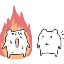 오아시스노래클럽