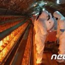 김제농장 이미지