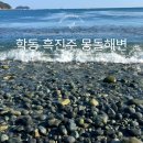씨유 거제학동몽돌점 | 동백림 군락지 근처 거제 몽돌해수욕장 후기 가볼만한 곳 추천