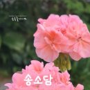 송소담