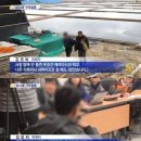 섬노예