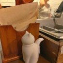 네코오뎅 이미지