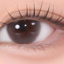 다비치안경(효자점) 이미지