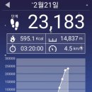 적현로-1 이미지