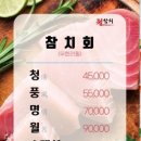 월참치