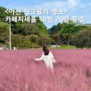 지에스25 아산온천대로점 | 아산 카페지새울10월 핑크뮬리 카페 포토존, 가을여행 추천