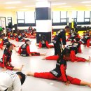 동성태비태권도장 이미지