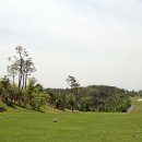 오펠 스크린골프 이미지