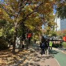 대현산공원(간) 이미지