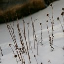 예뿌리 민속박물관 이미지