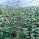 산들애농원 이미지