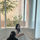 그사순 부산 웨딩촬영 후기 / 그사순 부산 드레스 / 이정민 작가님
