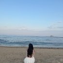고성집 | 강원도 고성 맛집 대게좋아홍게 회제작소 포장 후기 (+우당탕탕 신혼집 뿌신 썰)