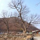 원동초등학교이천분교장 이미지