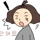 (주)그랜드애플 이미지