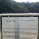 원주굽이길 10코스 천년사지길 이미지