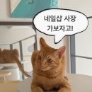 네일조음 이미지