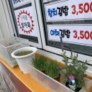 대박만두김밥 이미지