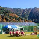 신선권역 이미지