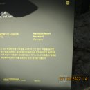 로맨스정자 이미지