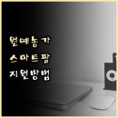 오토팜 티스토리