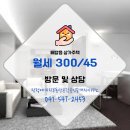 공감공인중개사사무소 이미지