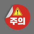 제주도 패키지 (3박4일 5시 기상 일정)