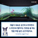 폭발적 반응! 애니메이션 영화 &lt;언더독&gt;을 스크린X로 만나야 하는 이유!