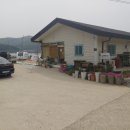 꽃주렁 나무주렁 캠핑장 이미지