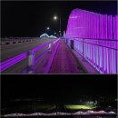 인라인스케이트장 우측 - 2266 | 인라인스케이트장 우측