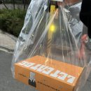 렛잇비 | 타르트 맛집 광화문 ‘렛잇비’ 후기!