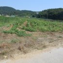 신산리-2 이미지