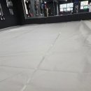 블로우핏 이미지