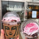 (주)이마트 춘천점 | 스타벅스 신메뉴 붉은로즈 초콜릿 더블에스프레소 크림라떼 발렌타인데이 시즌 MD 후기