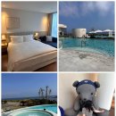 스테이740 | 제주 신라스테이 이호테우 스탠다드 더블 가든뷰 수영장 가격 후기