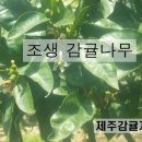 지우네농장 네이버블로그