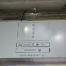 대구 교동 분위기 좋은 혼술 뮤직바 "재생목록" 내돈내산 후기