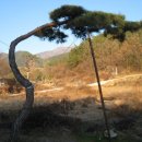 지리산 농장 이미지