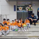 감전지구대 이미지