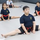 자가운동 표준 프로그램 이미지