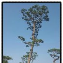 영민농장 이미지