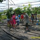 부용초등학교 이미지